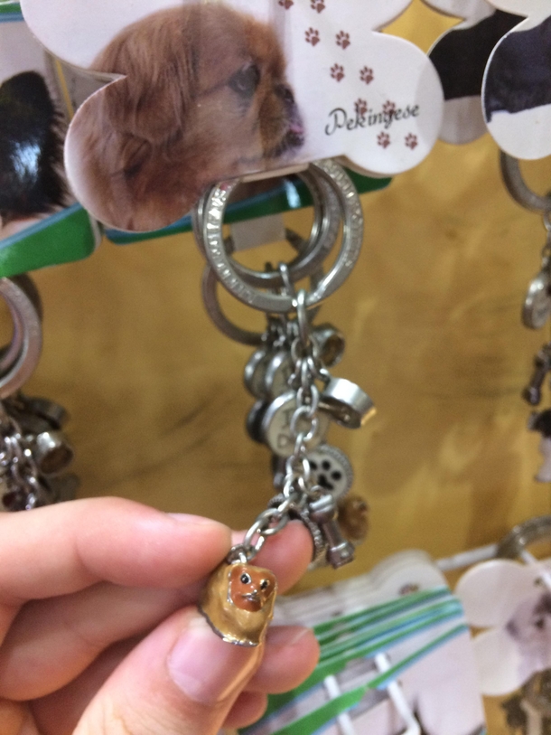 Thats a nugget wookiee not a dog