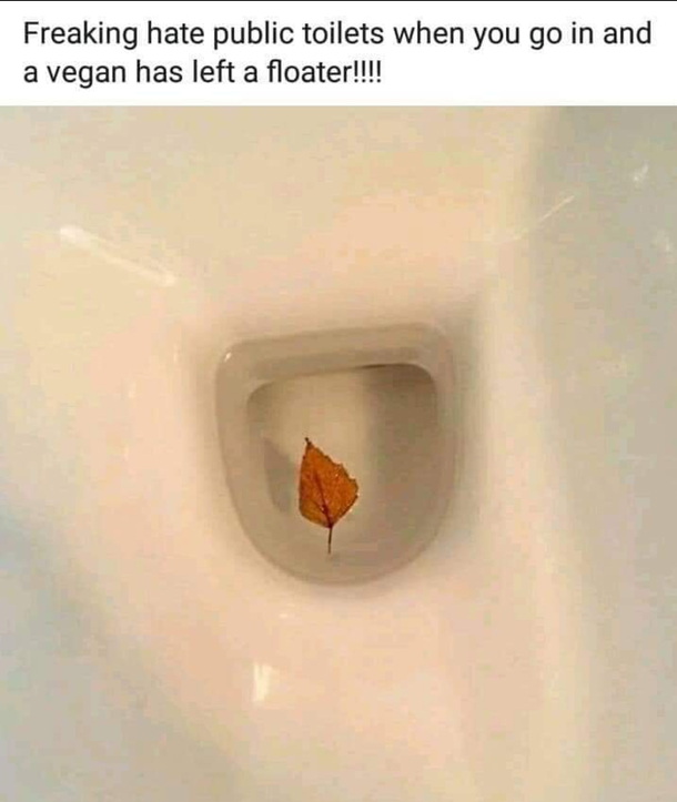 Thats a shit one Vegans always causing this problem 