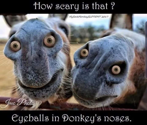 thats actually terrifying