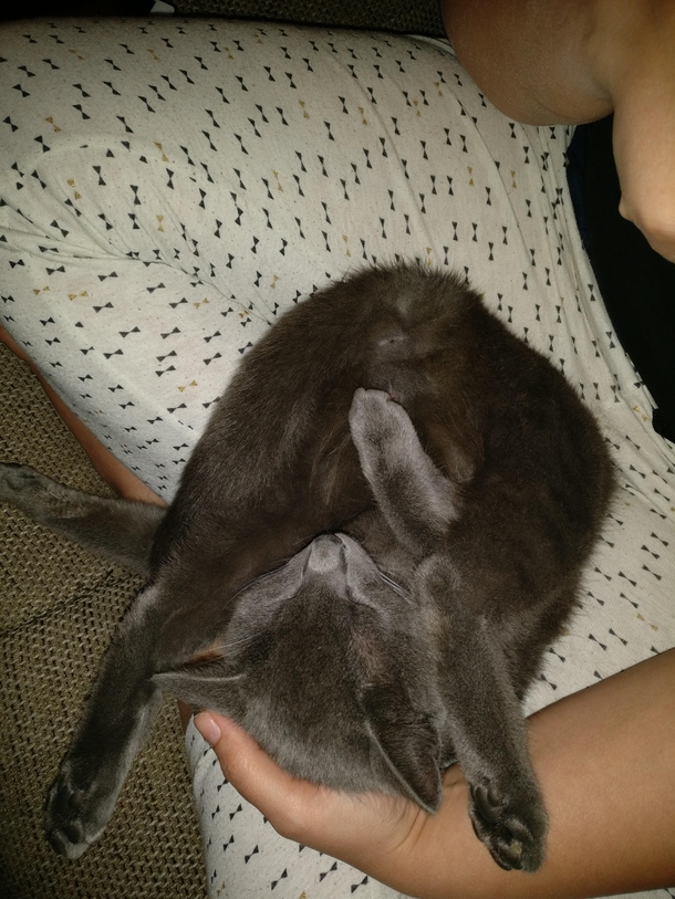 Thats how he chills