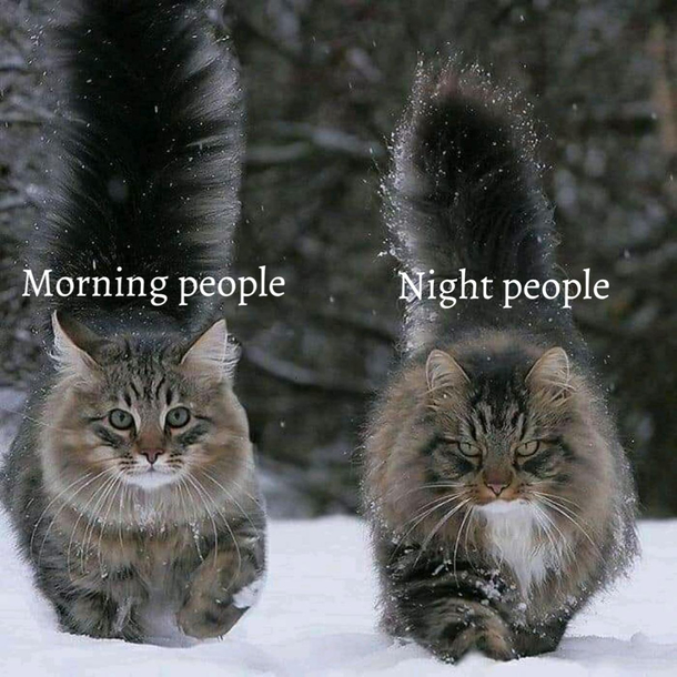 Thats how it be