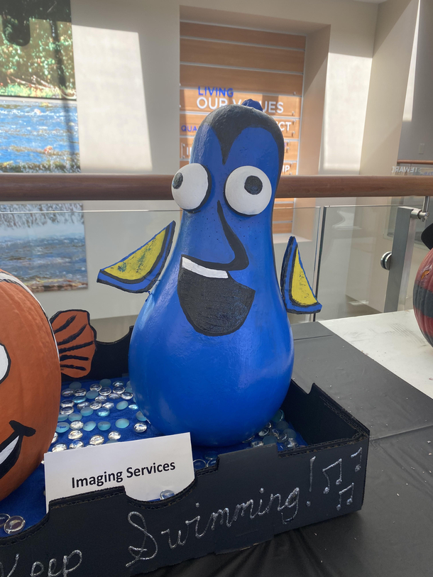 Thats not Dory thats derpy