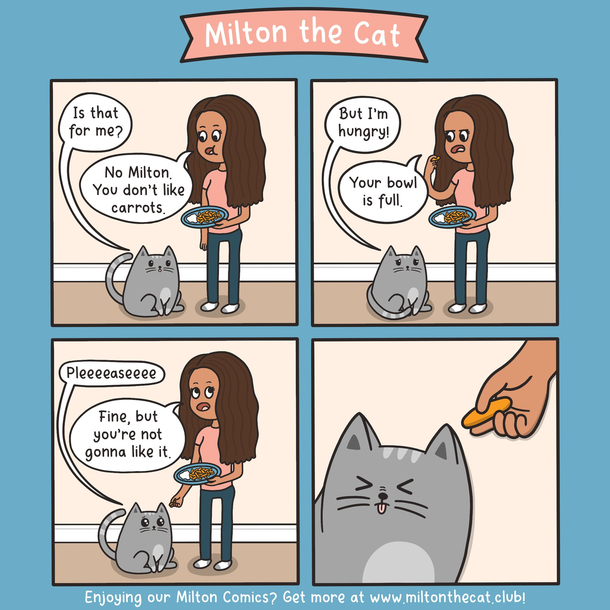 Thats one picky cat