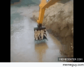 Thats quite a ride