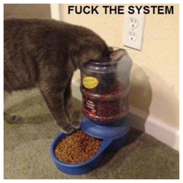 The 