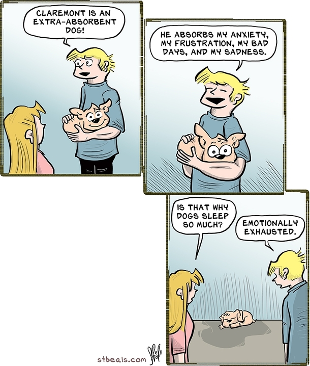 The Absorbent Dog