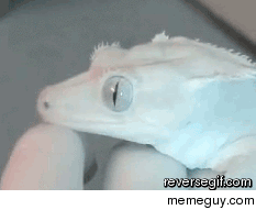 The acid is kicking in