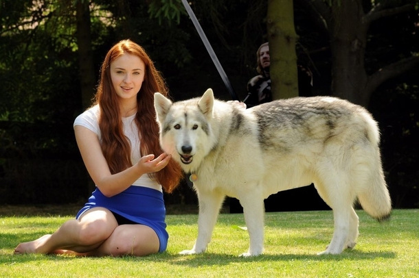The actress who plays Sansa Stark adopted her dire wolf from the show in real life 