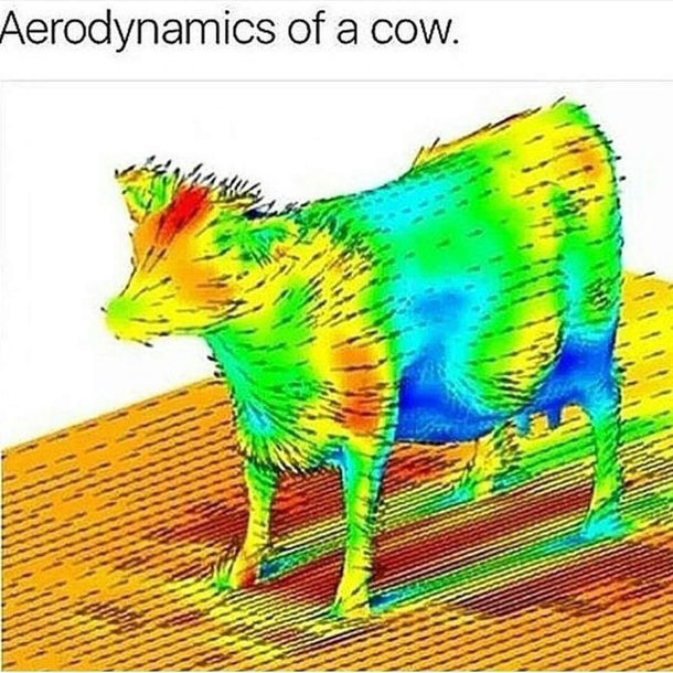 The aerodynamics of a cow