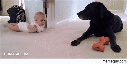The Amazing Lover Dog Bonding with the Baby