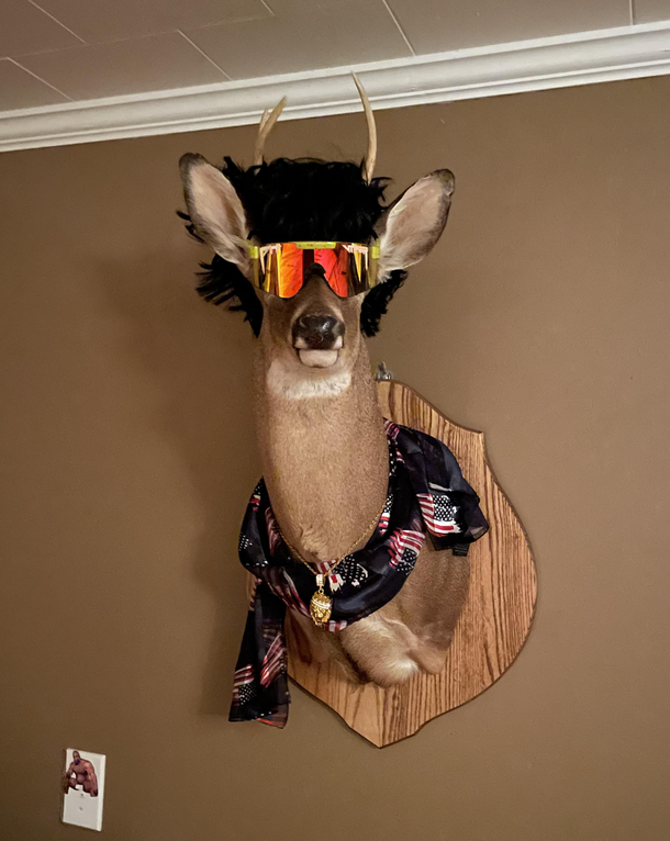 The American AF Deer