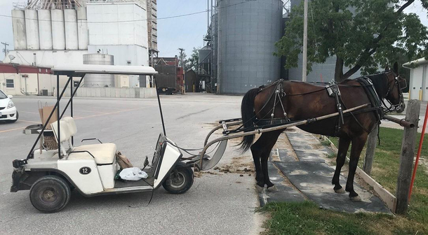 The Amish in my home town are evolving