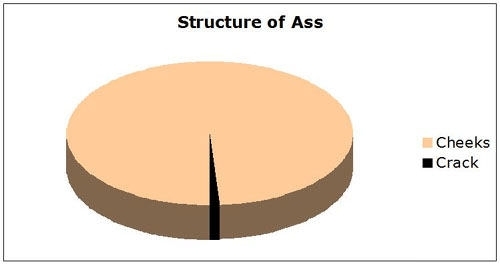 The anatomy composition