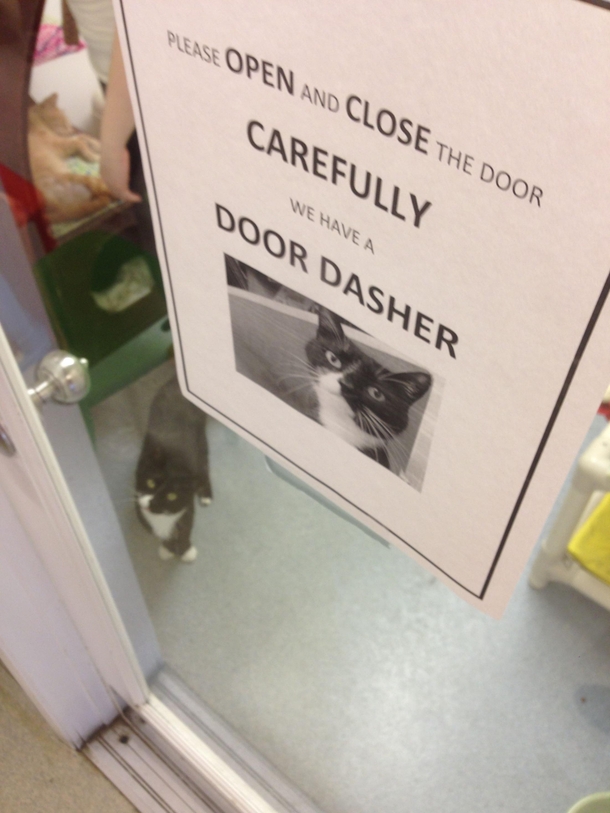 The animal shelter sign wasnt lying