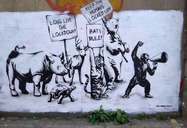 The animals have their say 