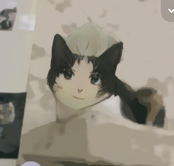 The anime style Snapchat filter works on my cat - Meme Guy
