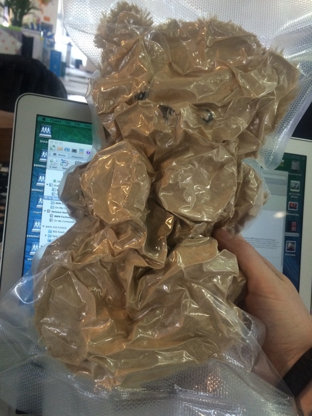 The answer is yes You should vacuum pack a teddy bear