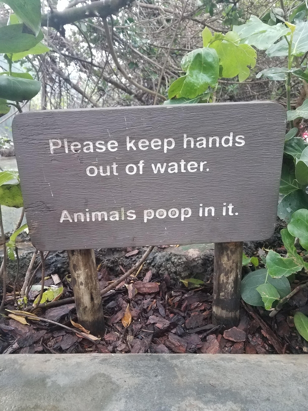 The aquarium keeping it real