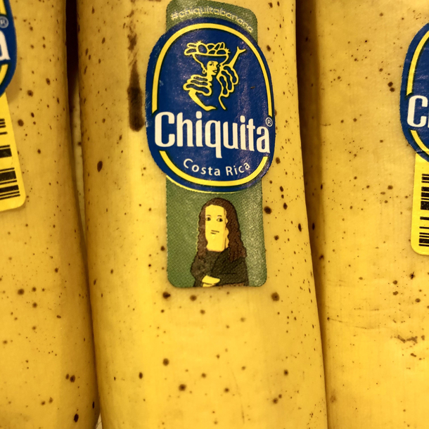 The Banona Lisa