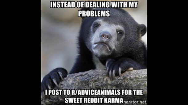 The bear has spoken