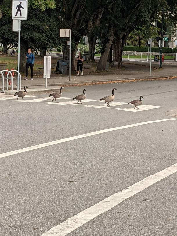 The Beatles reunion tour 