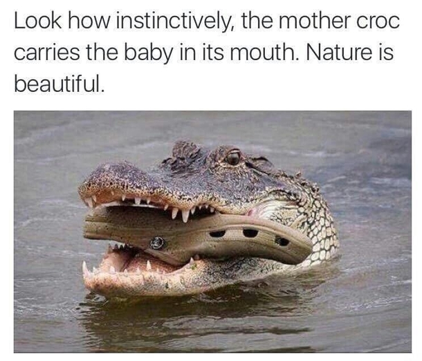 The beauty of nature