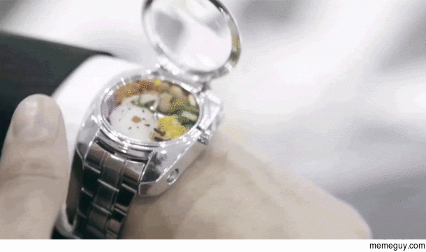 The Bento sushi watch The only Apple watch killer
