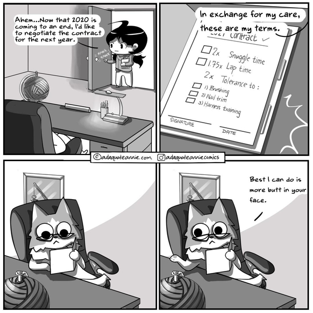 The best deal 