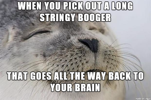 The best feeling ever