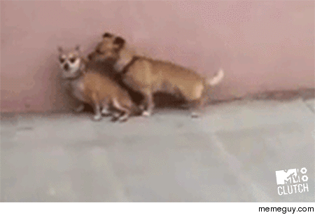 The best friendzone gif Ive ever seen