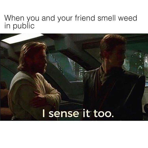 The best kind of friend