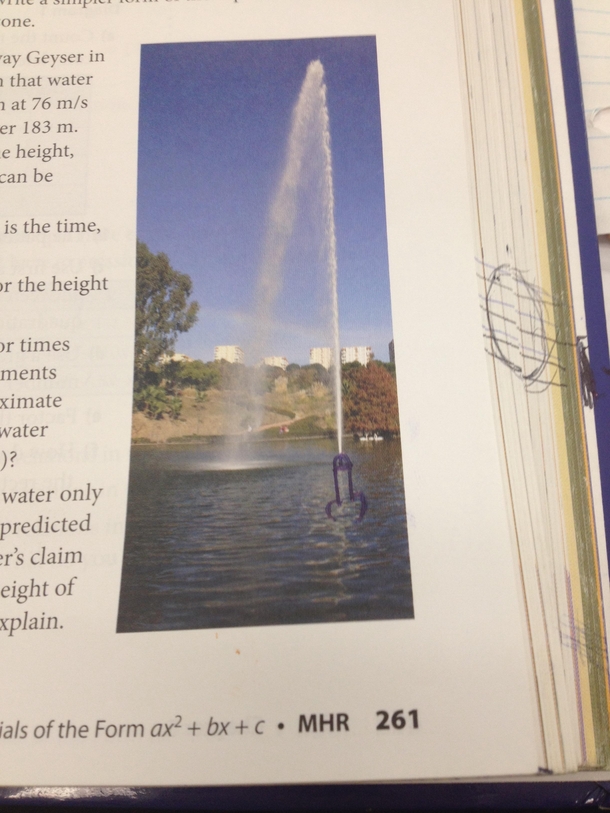 The best penis Ive seen drawn into a textbook