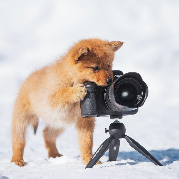 The best photographer for every shot 