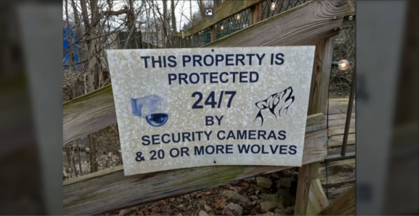 The best security system