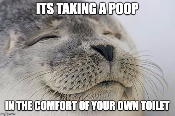 The best thing after coming home from a vacation isnt sleeping in your own bed