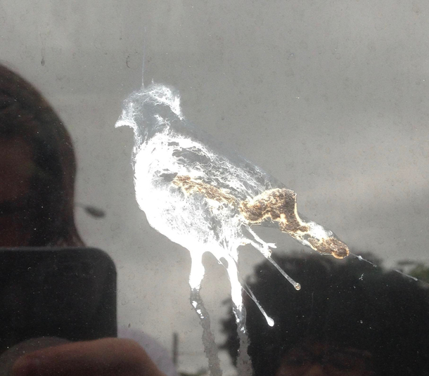 The bird that shit itself