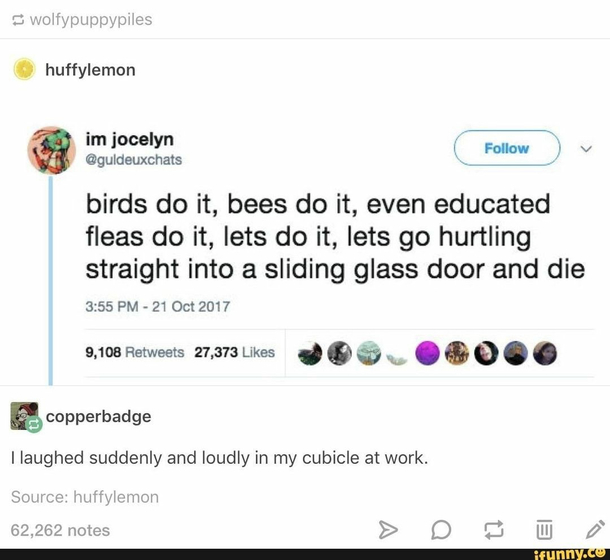 The birds and the bees