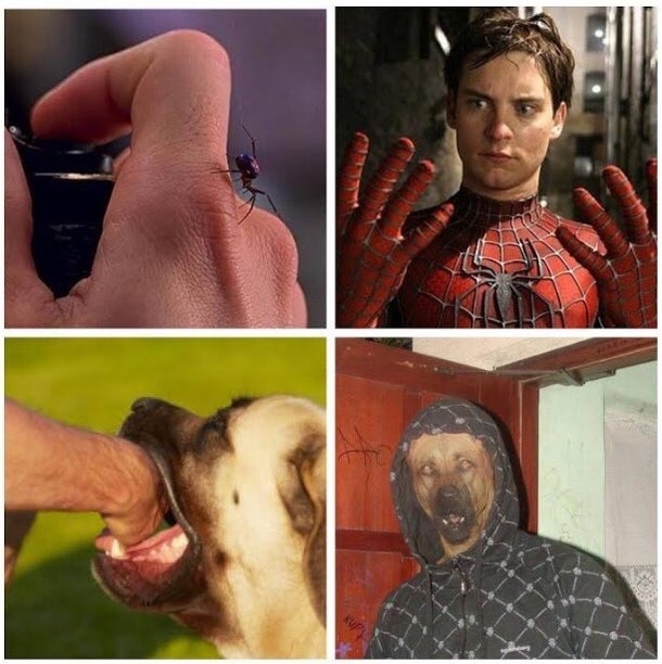 The birth of Dogman