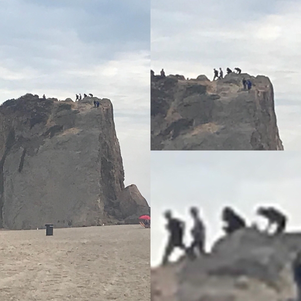 THE BIRTH OF MANKIND - Today at the beach I saw evolution man