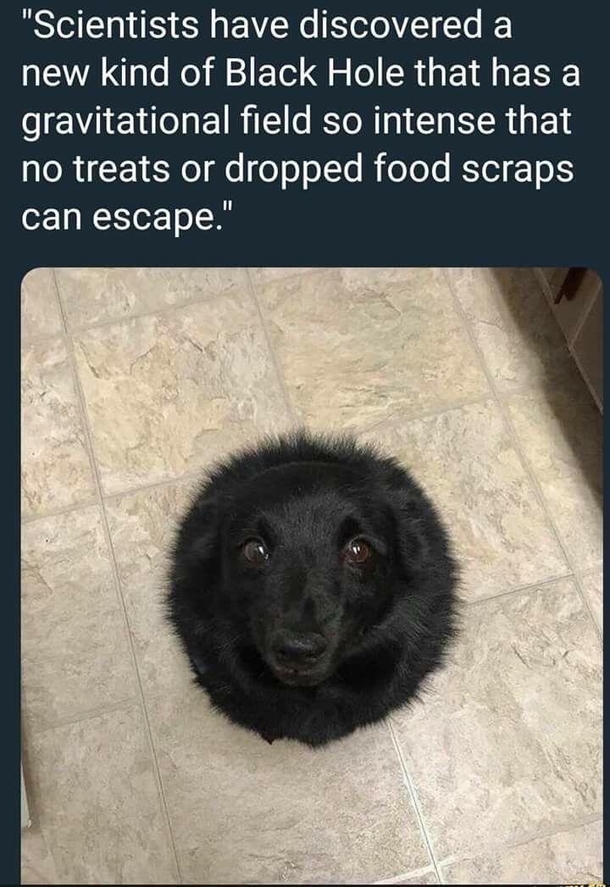 The Black Hole