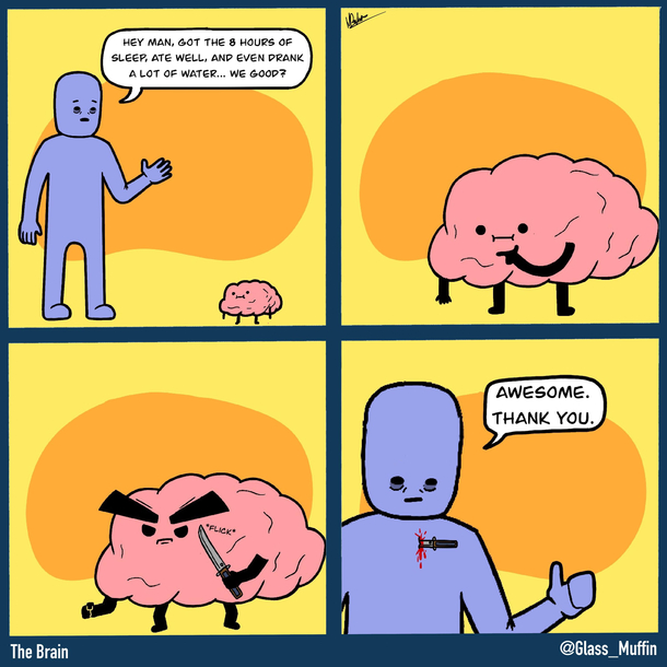 The Brain