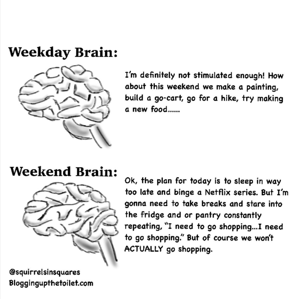 The Brains 