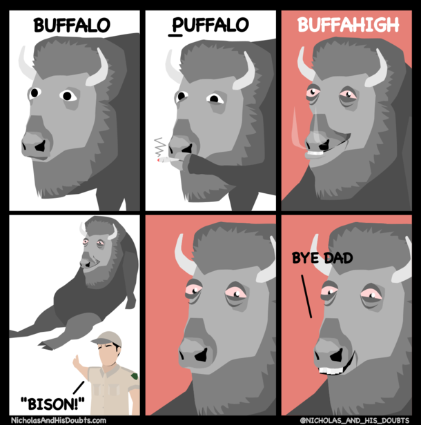 The Buffalo 