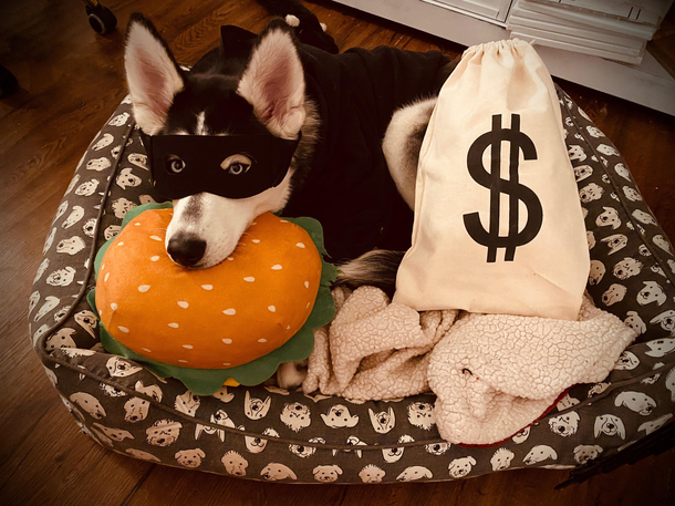 The Burger Burglar