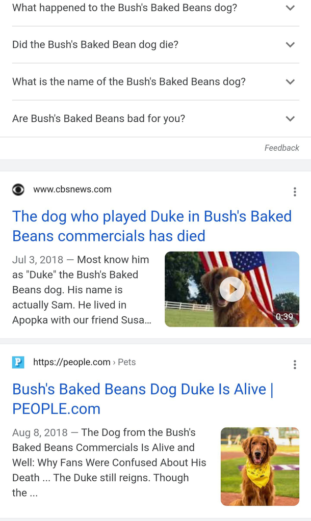 The Bushs baked beans dog faked his own death for a month