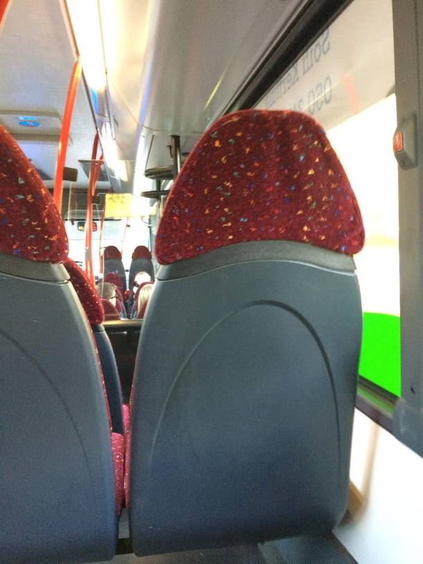 The busses in my city are intresting