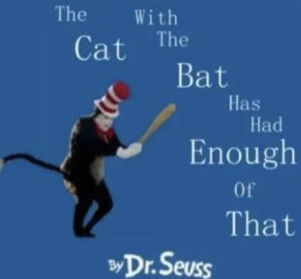 The cat