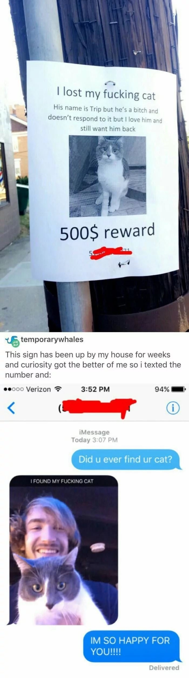The cat is like Fuck they got me