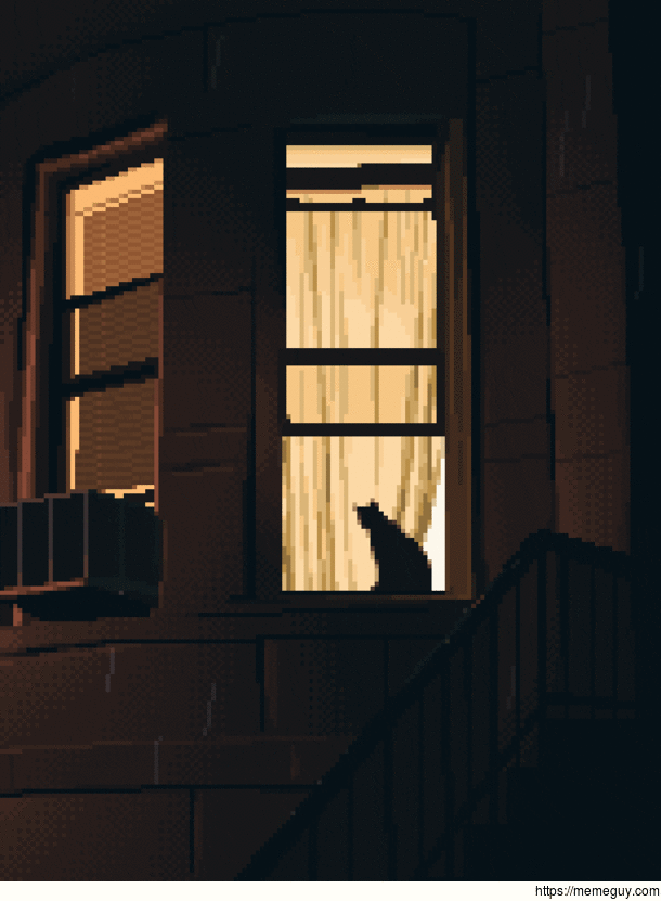 The cat looks at the evening rain