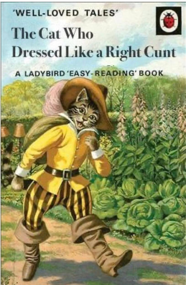 The cat who dressed like a right cunt